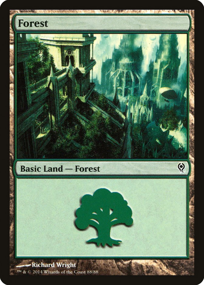 Forest (88) [Duel Decks: Jace vs. Vraska]